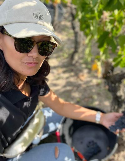 c'est madame qui choisit le vin, illustration